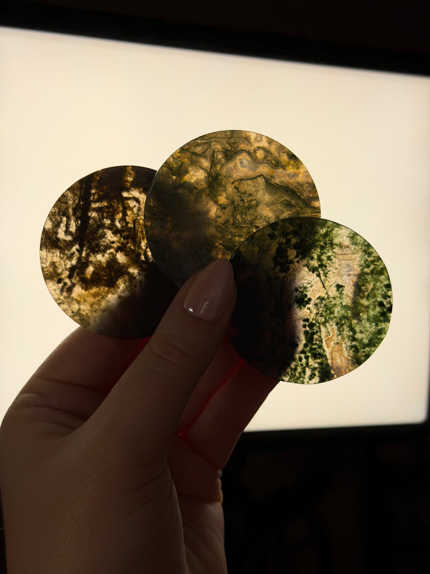 Mystery Moss Agate Disc