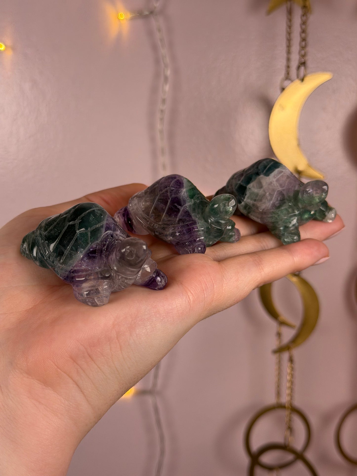 Mystery Fluorite Turtle Carving