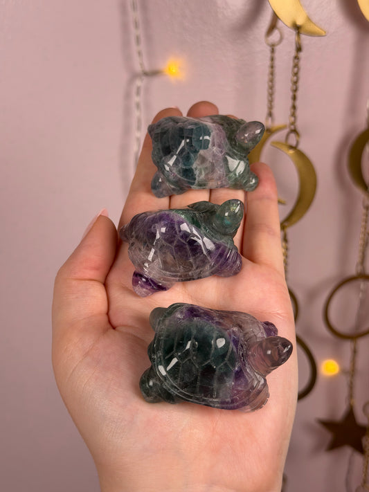 Mystery Fluorite Turtle Carving