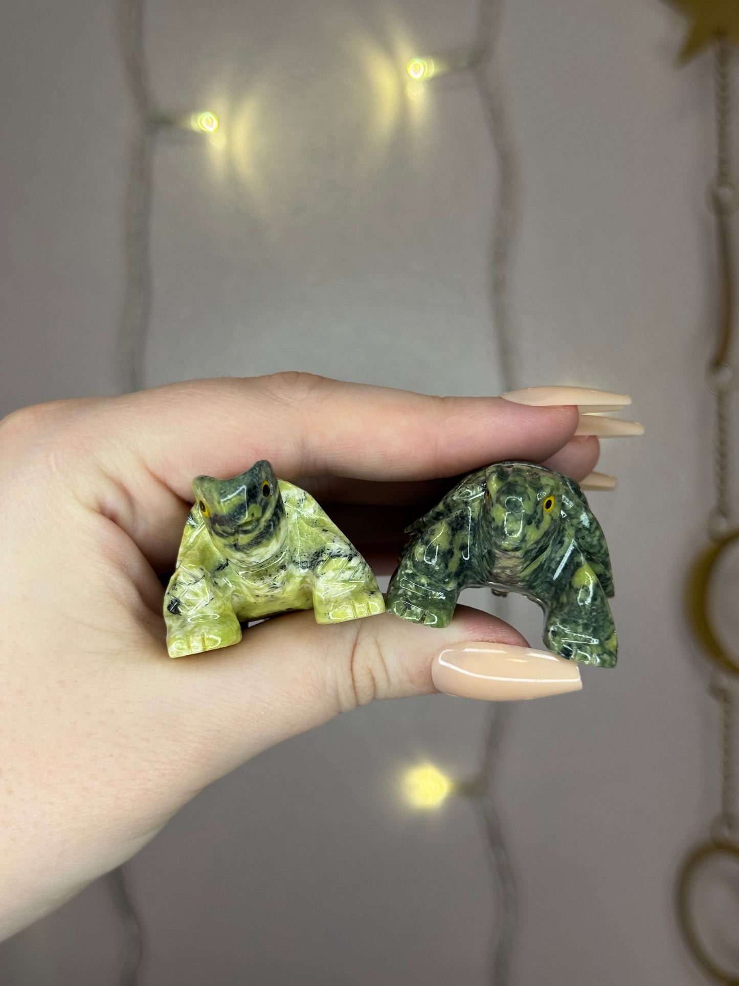 Serpentine Turtle- You Choose