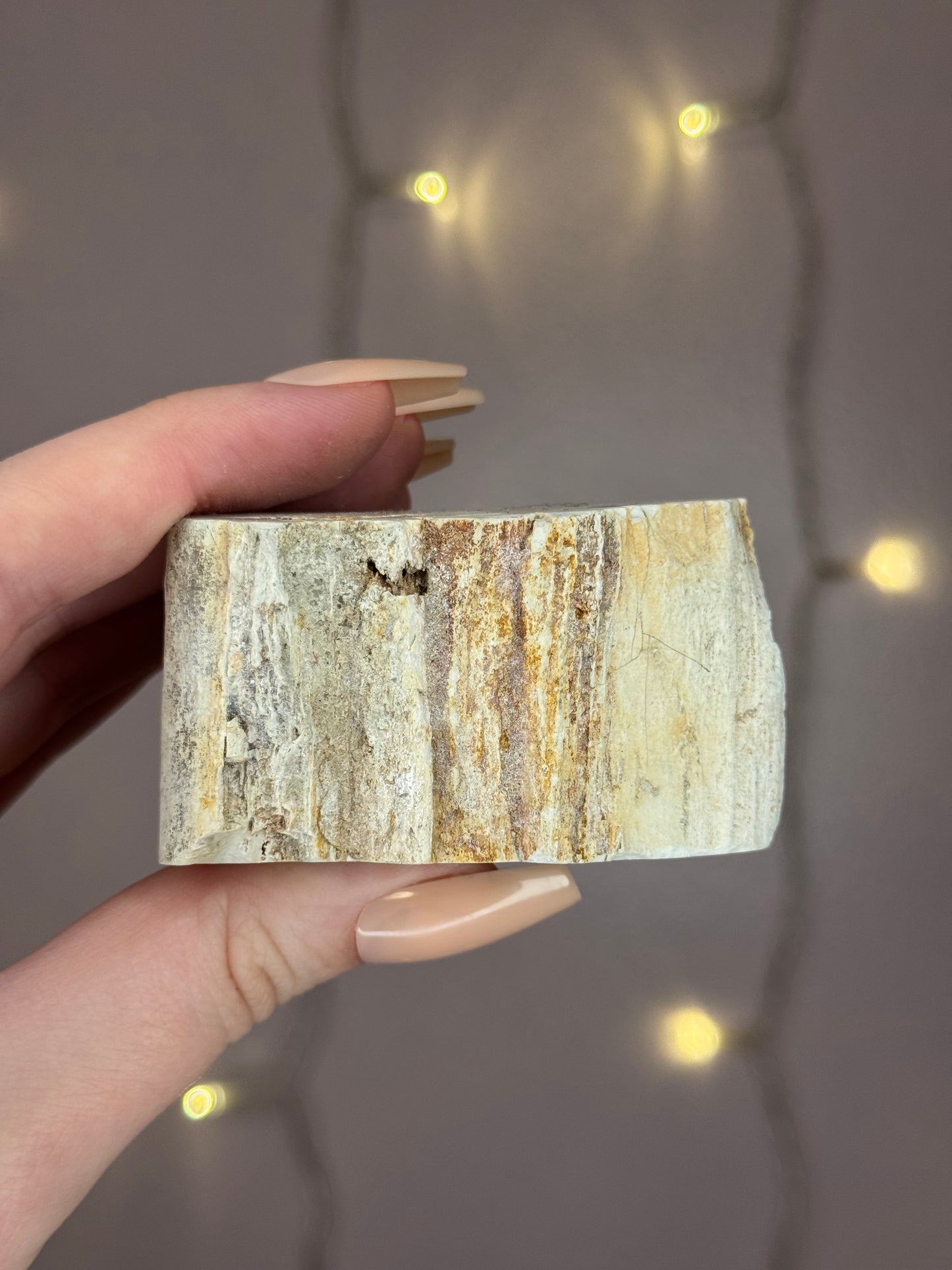 Green Petrified Wood C (pastel green)