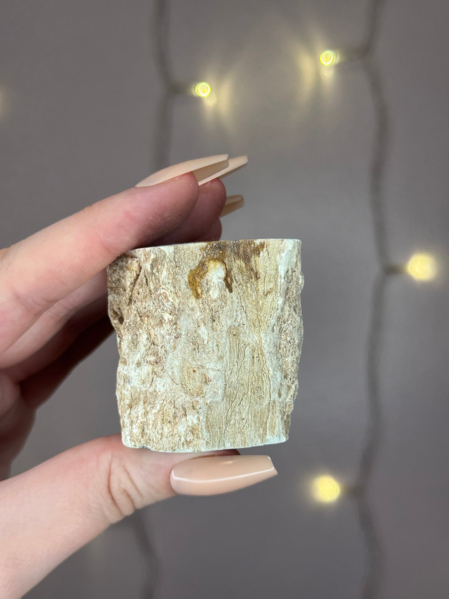 Green Petrified Wood B (minty green)