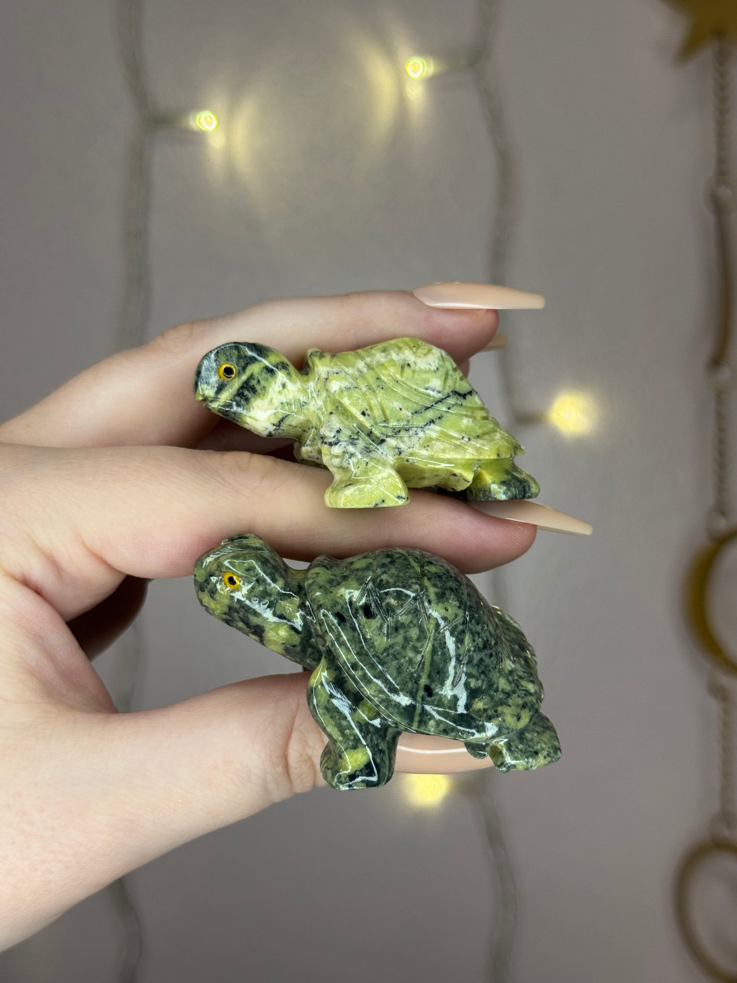 Serpentine Turtle- You Choose