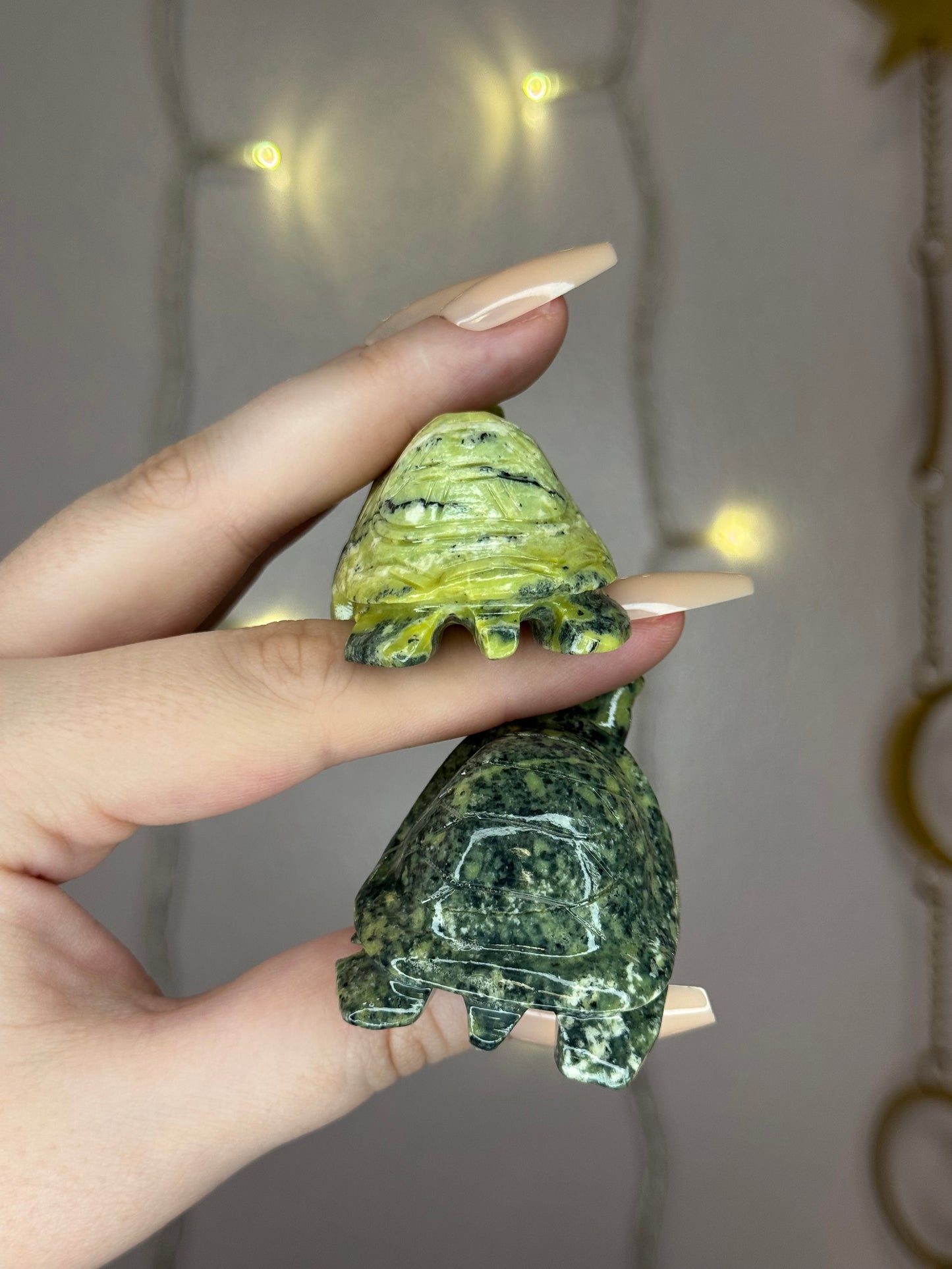 Serpentine Turtle- You Choose