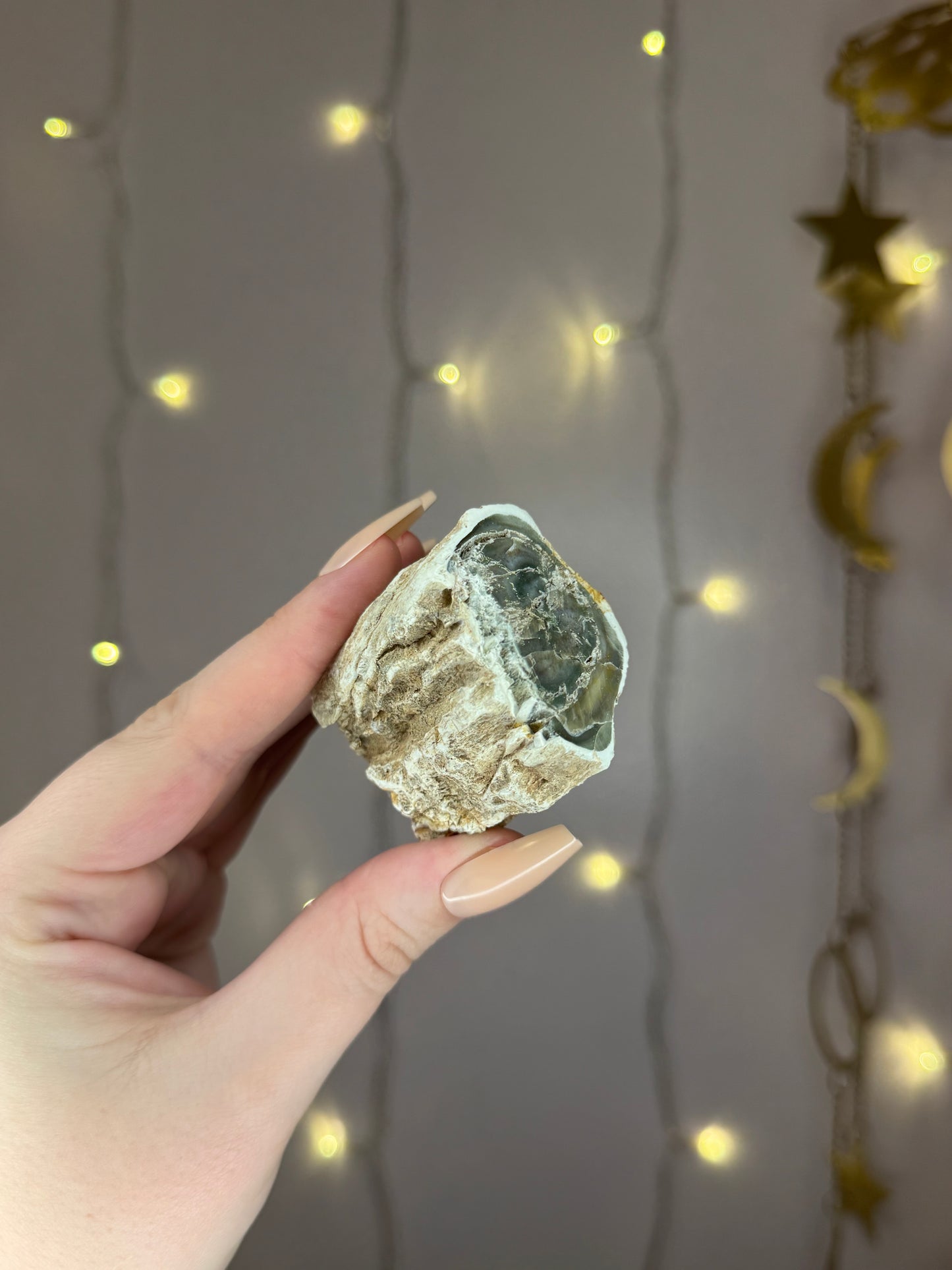 Green Petrified Wood B (minty green)