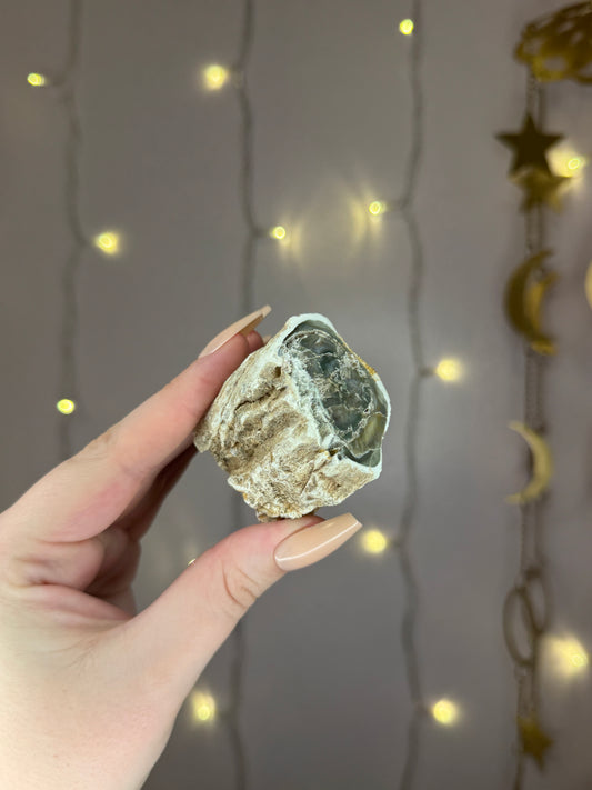 Green Petrified Wood B (minty green)