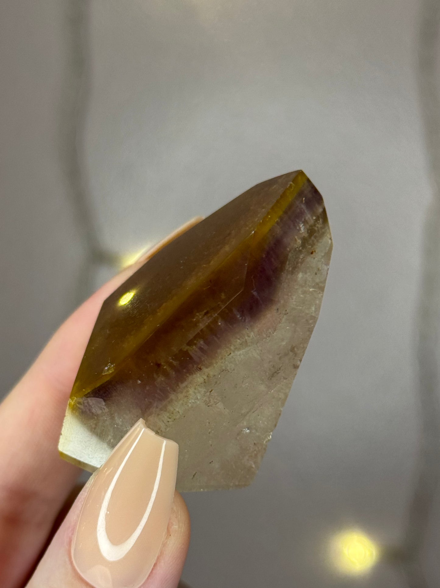 Dreamcoat Lemurian Tower 26