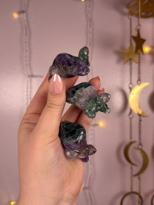 Mystery Fluorite Turtle Carving