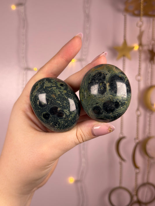 Mystery Kambaba Jasper Palmstone
