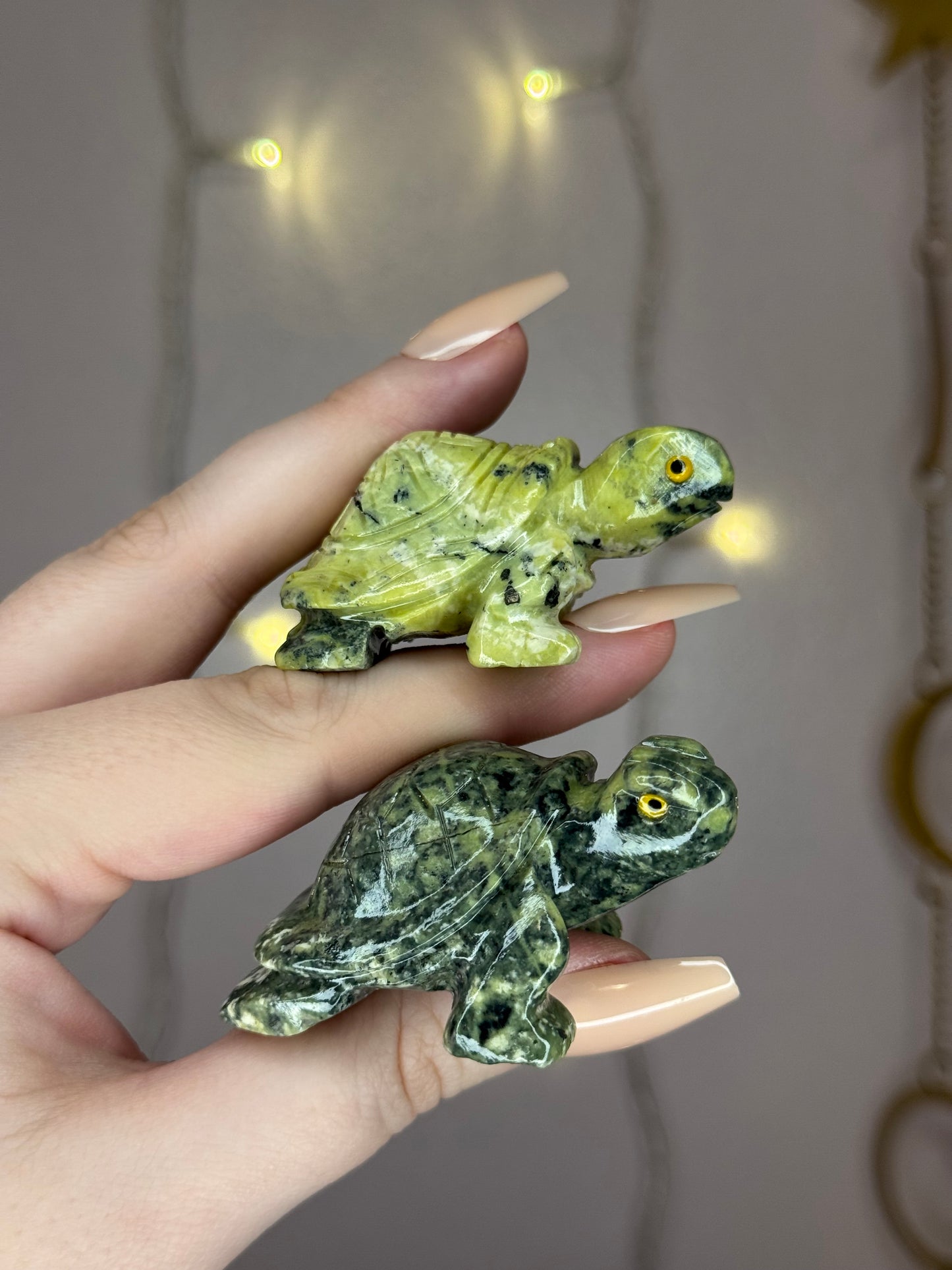 Serpentine Turtle- You Choose