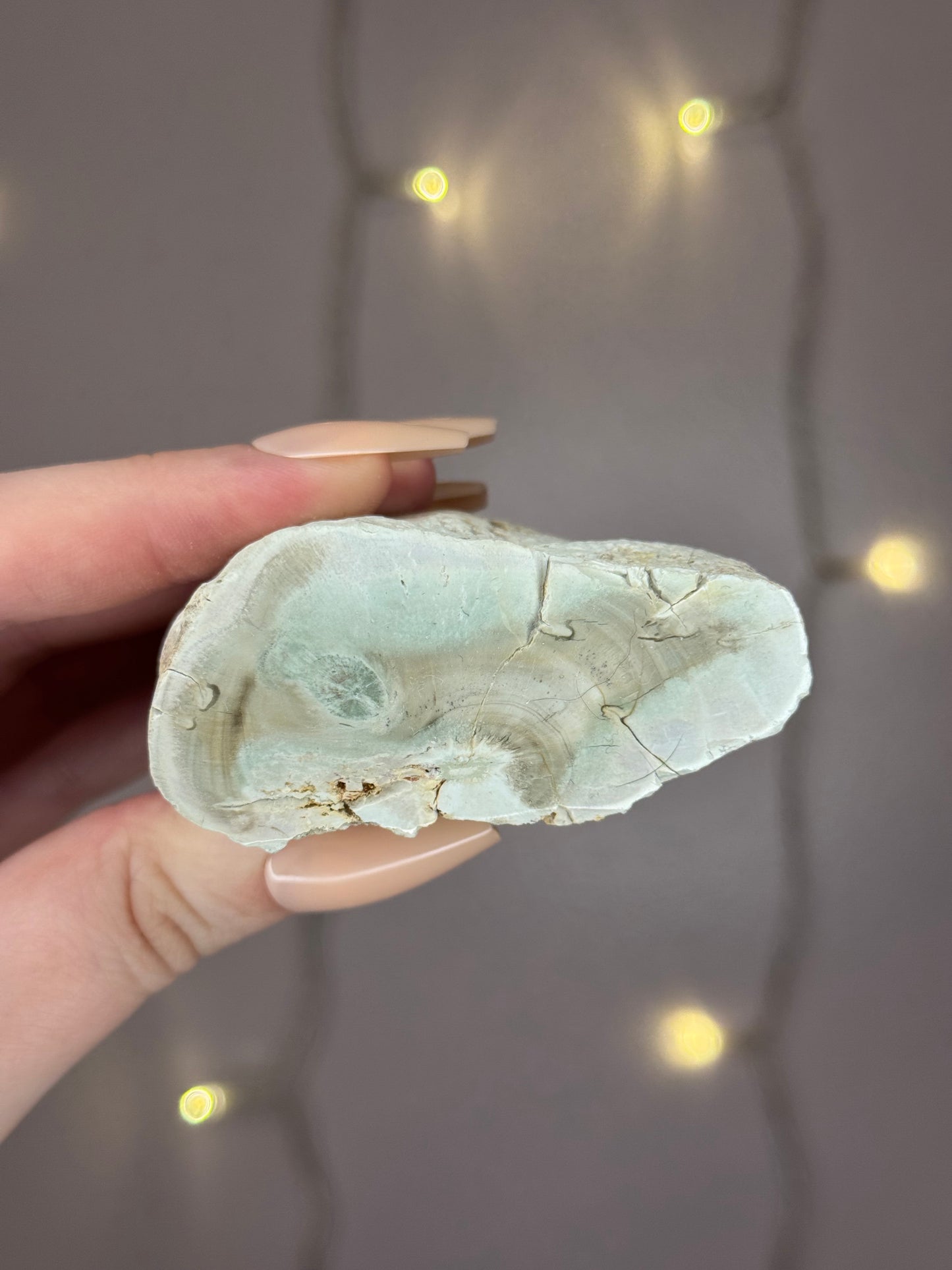 Green Petrified Wood C (pastel green)