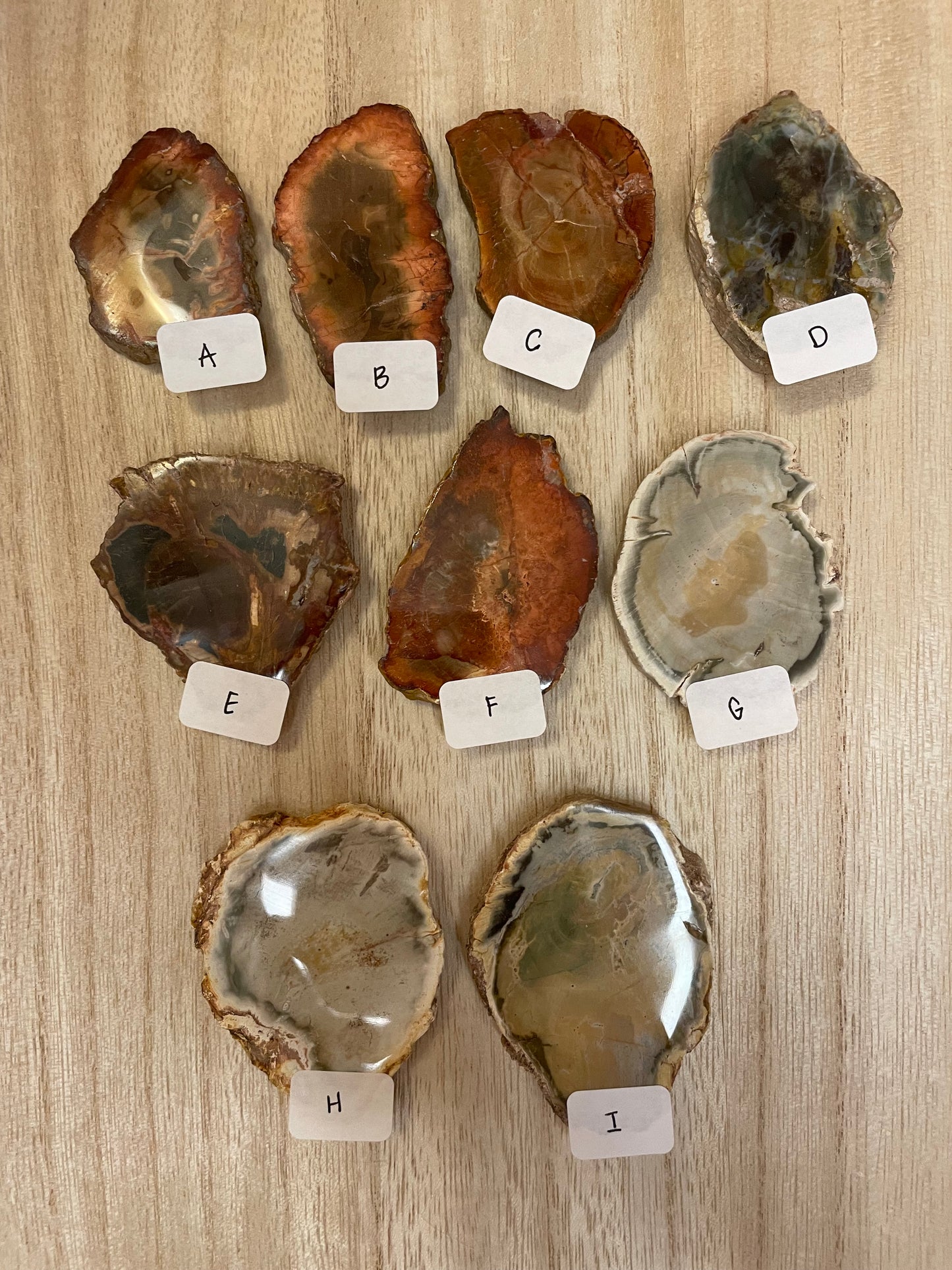 Petrified Wood Slabs- You Choose