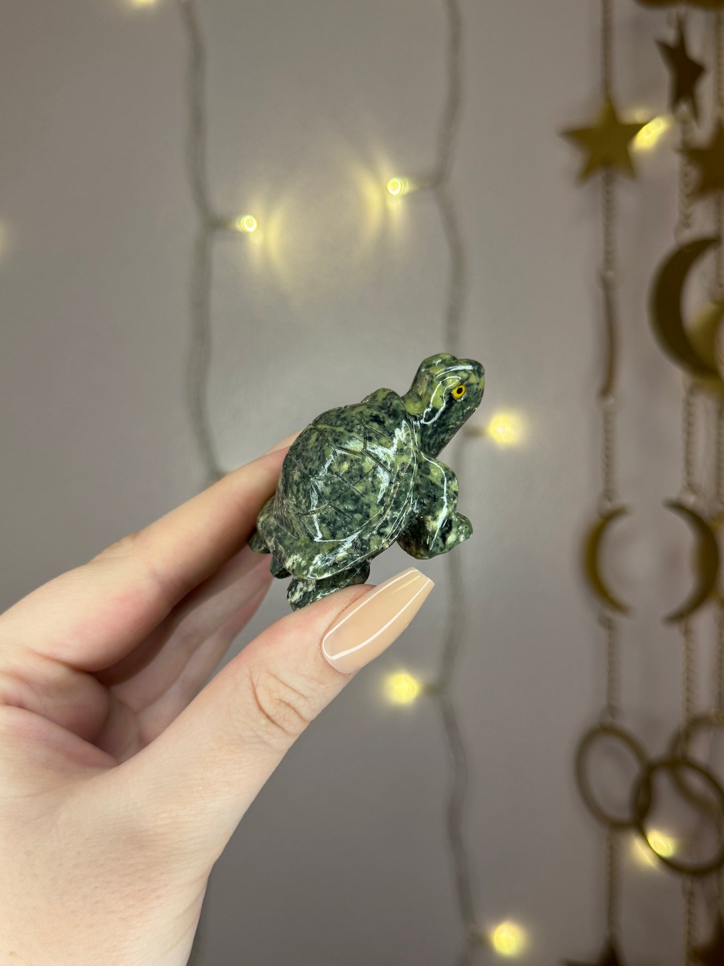 Serpentine Turtle- You Choose