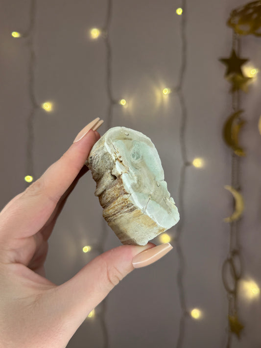 Green Petrified Wood C (pastel green)