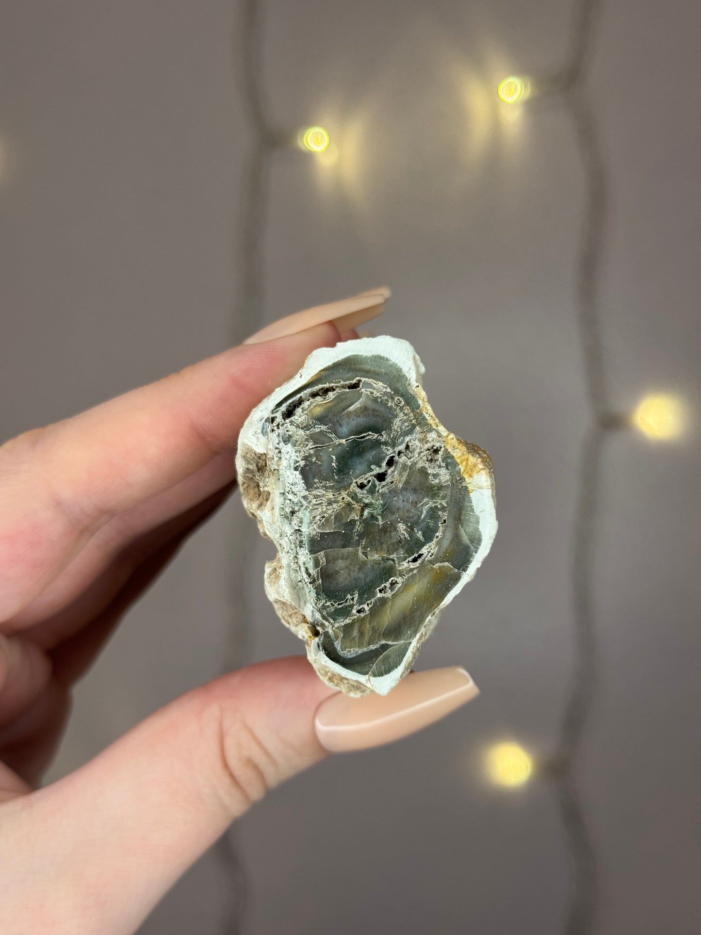 Green Petrified Wood B (minty green)