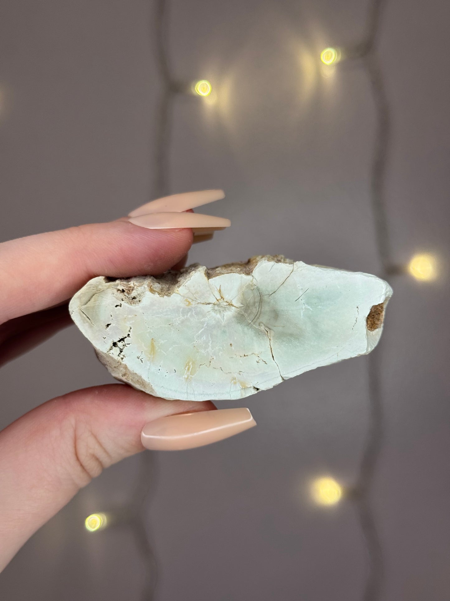 Green Petrified Wood C (pastel green)