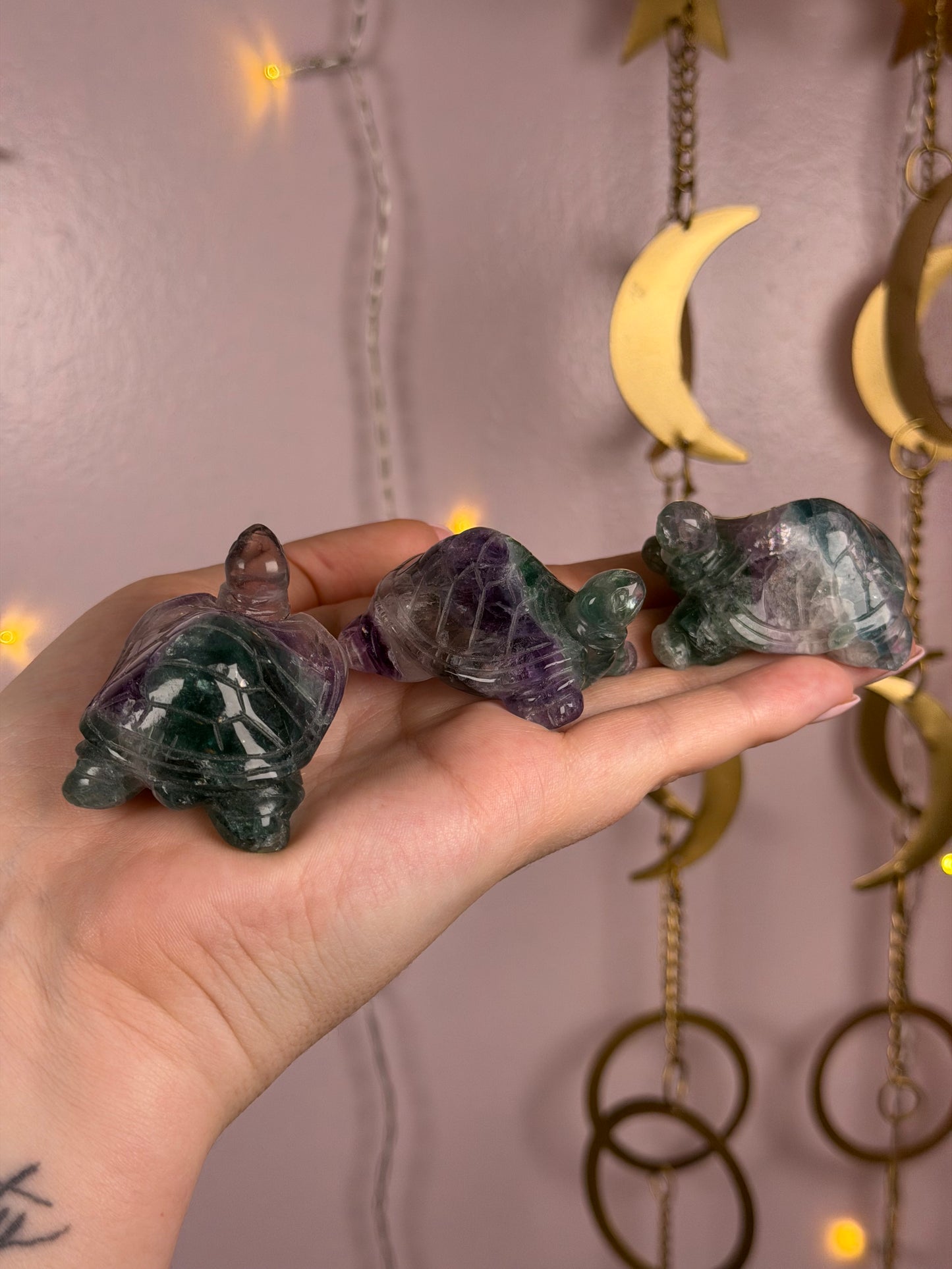 Mystery Fluorite Turtle Carving