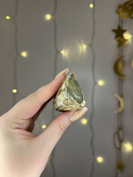 Green Petrified Wood D (dark green)