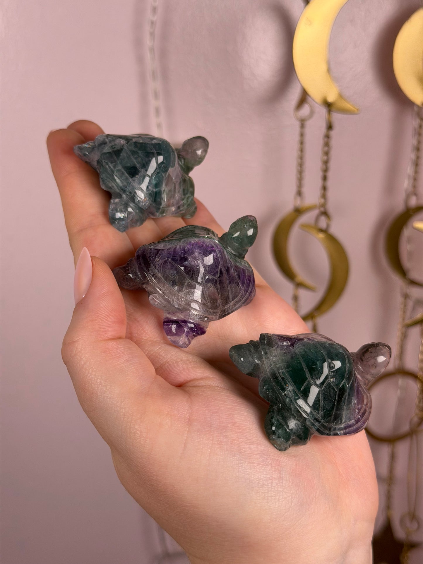 Mystery Fluorite Turtle Carving