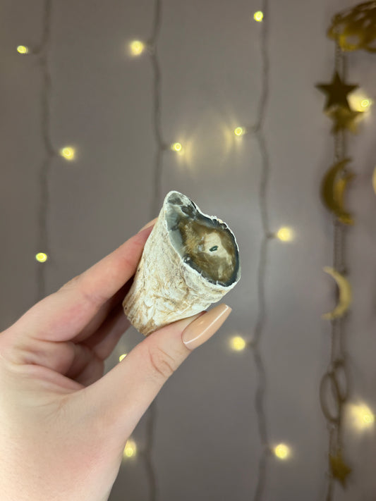 Green Petrified Wood A (dark green)