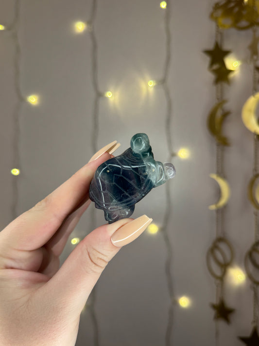 Mystery Fluorite Turtle Carving*