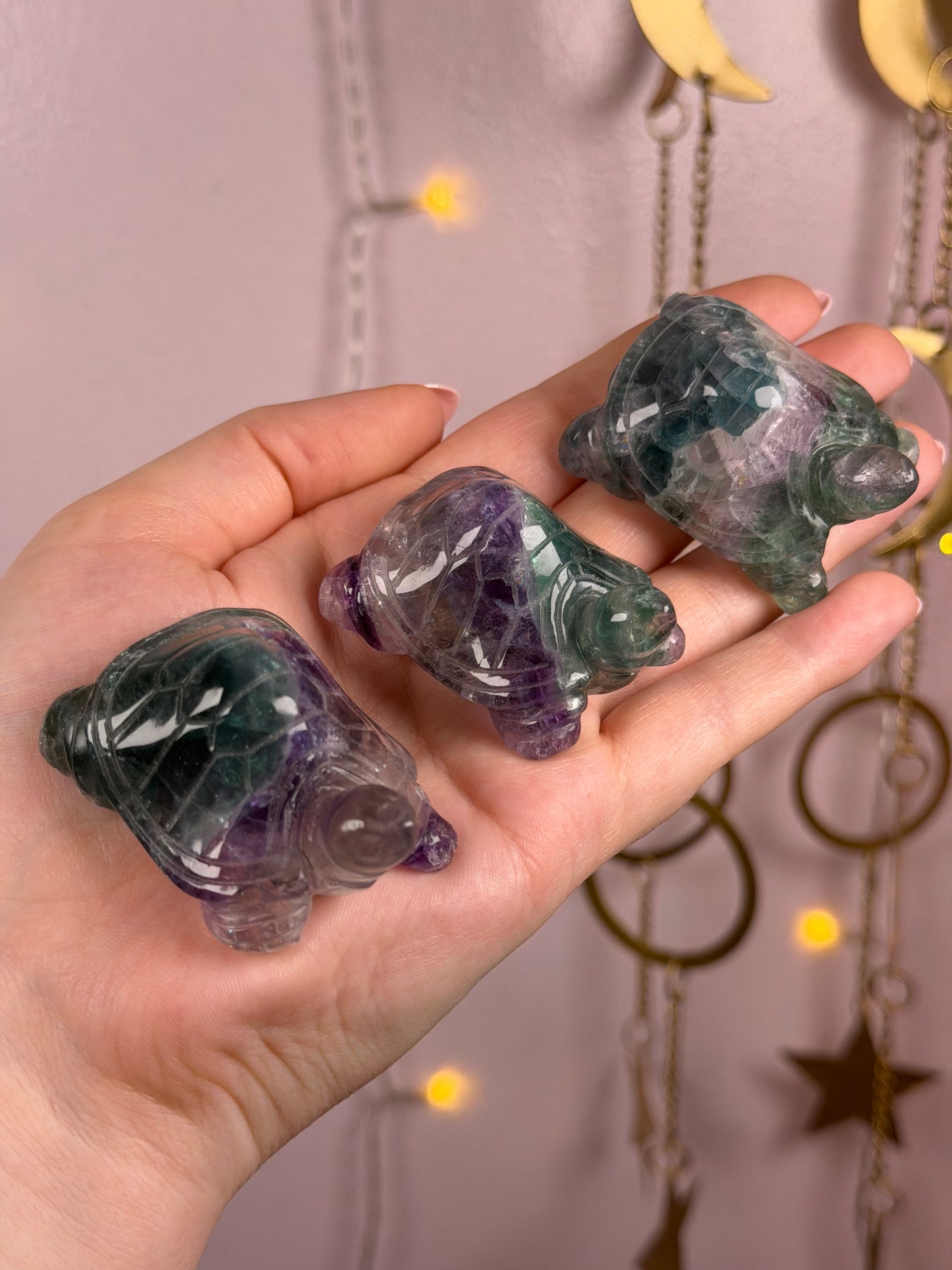 Mystery Fluorite Turtle Carving