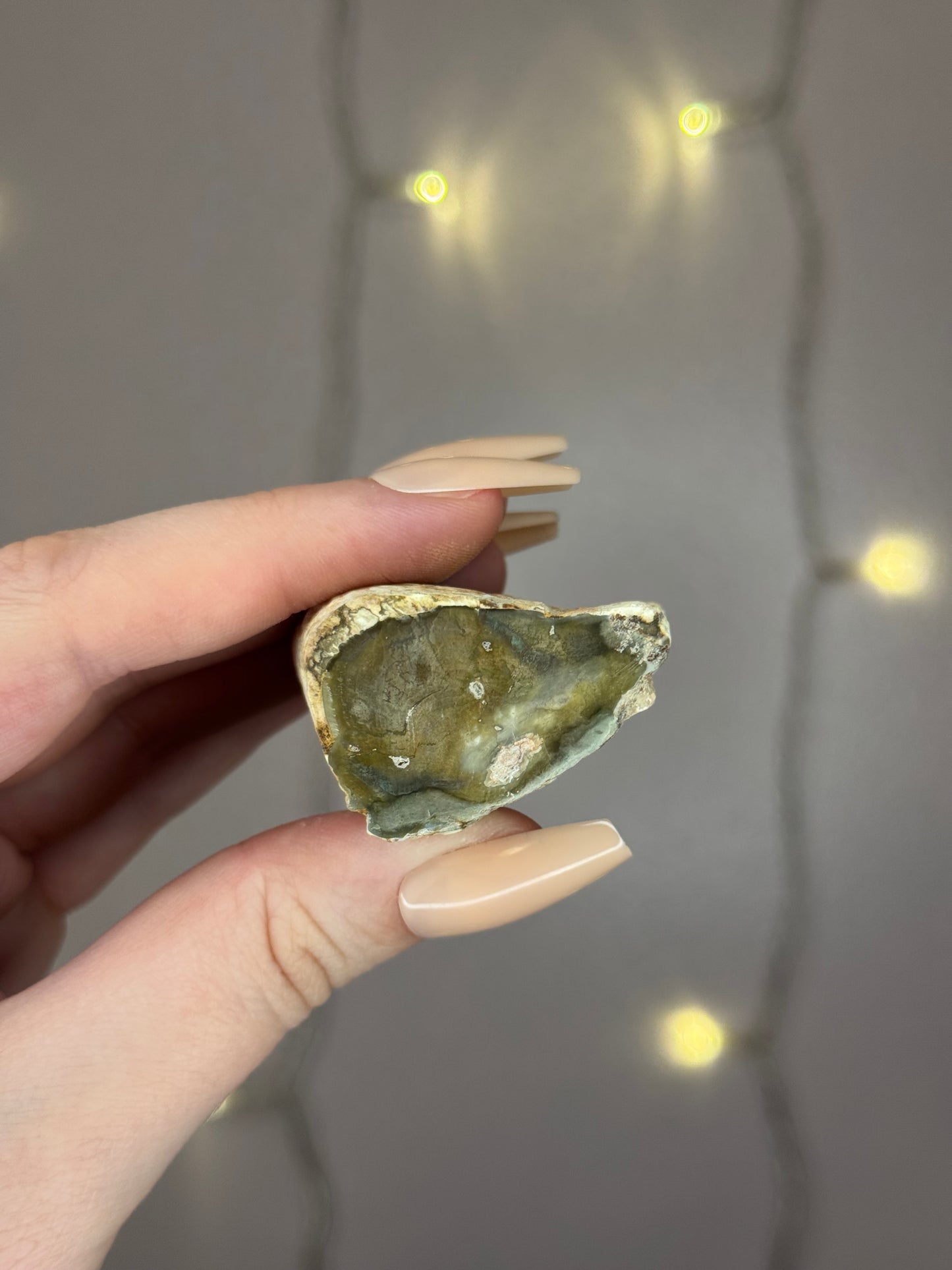 Green Petrified Wood D (dark green)