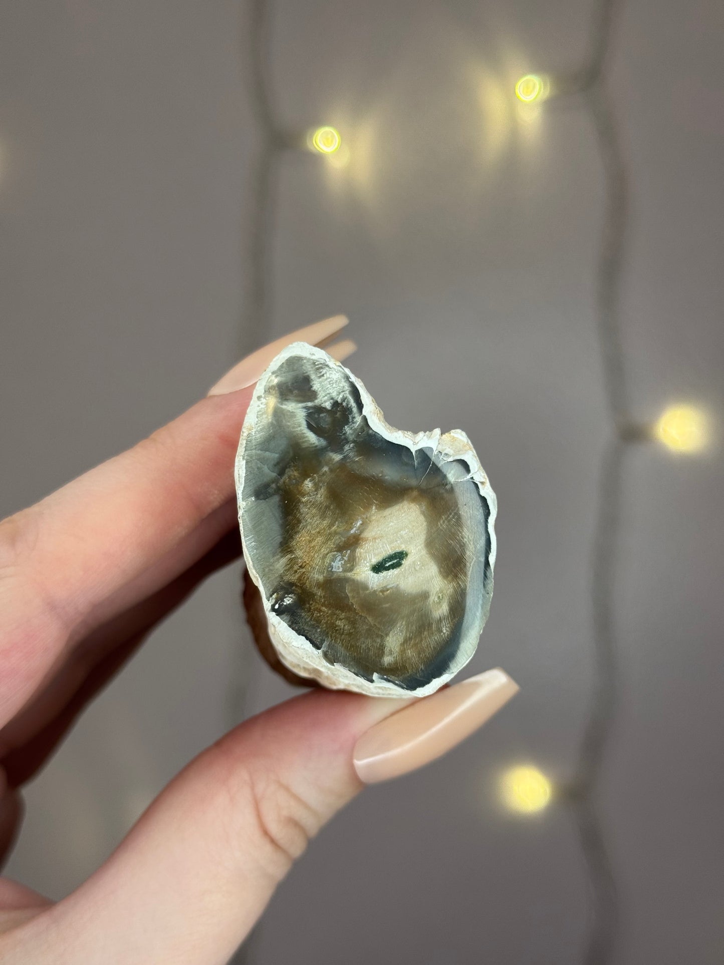 Green Petrified Wood A (dark green)