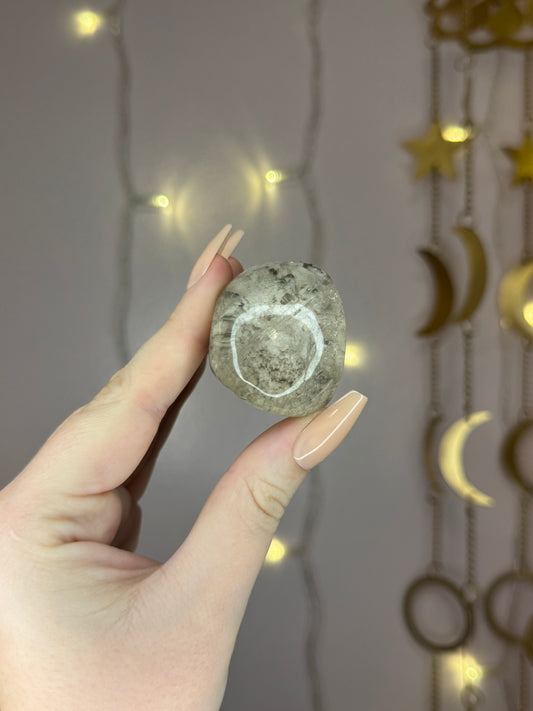 Grey Garden Quartz Lens 14