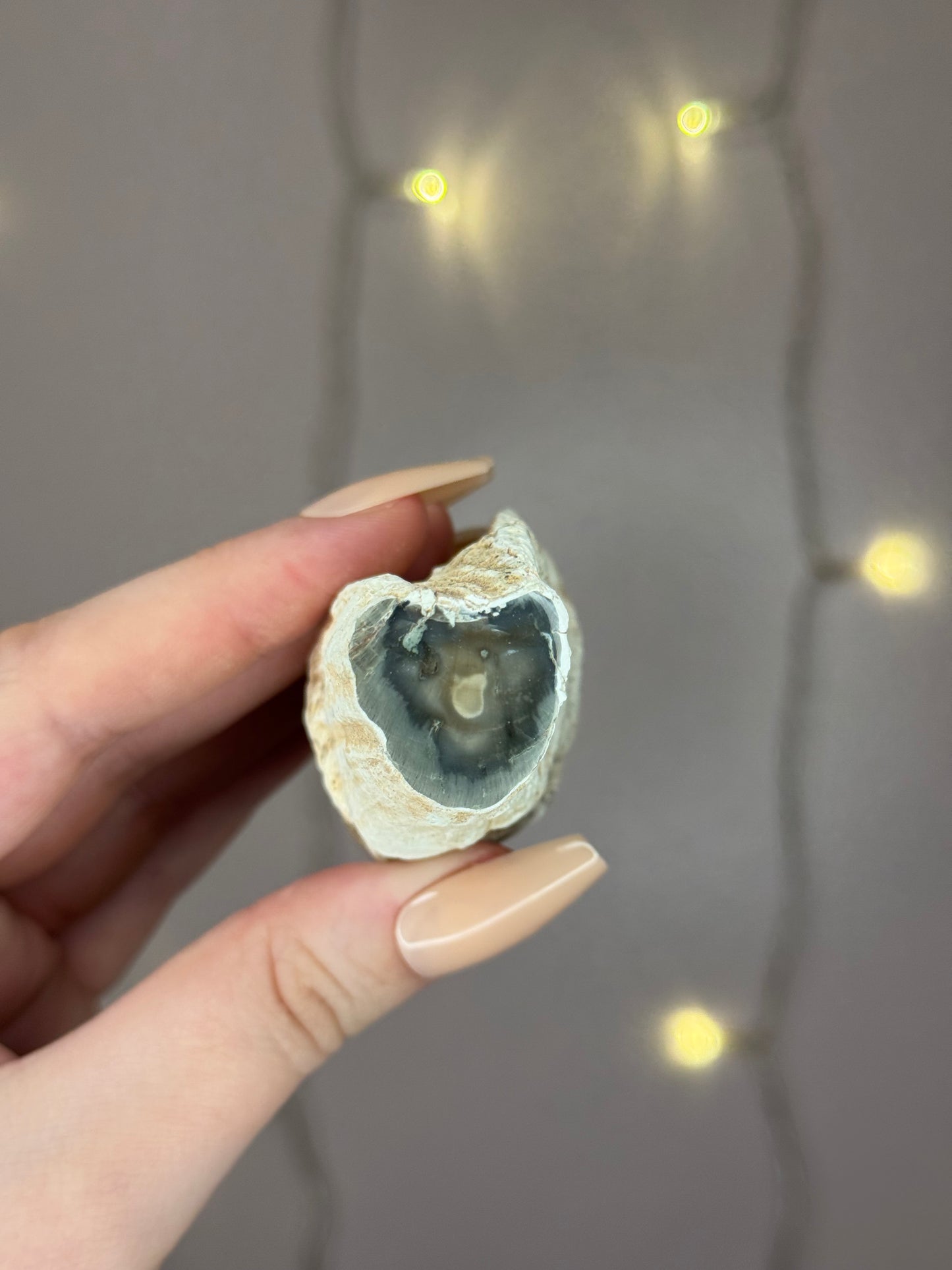 Green Petrified Wood A (dark green)