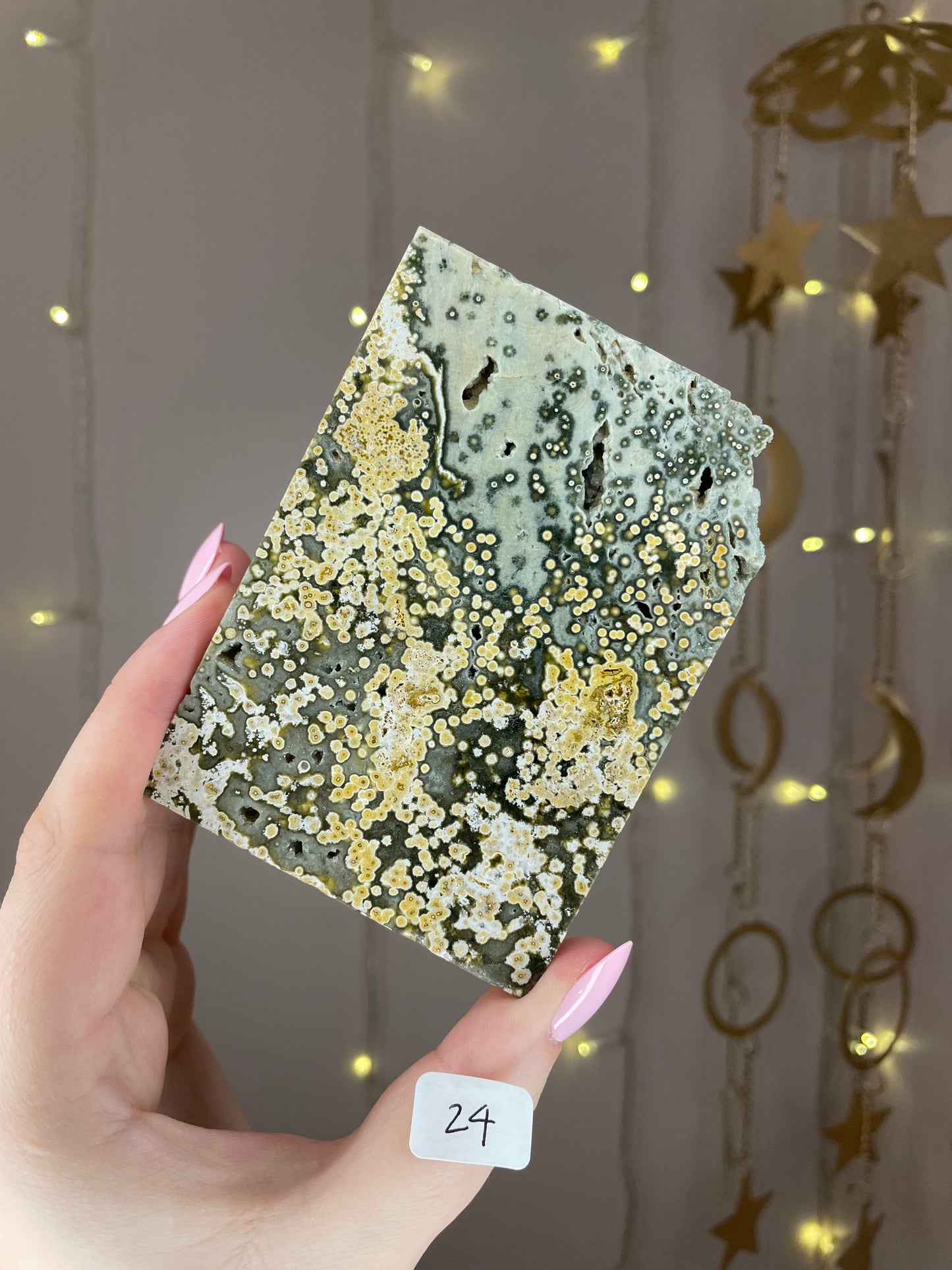 Orbicular Ocean Jasper Slabs- You Choose