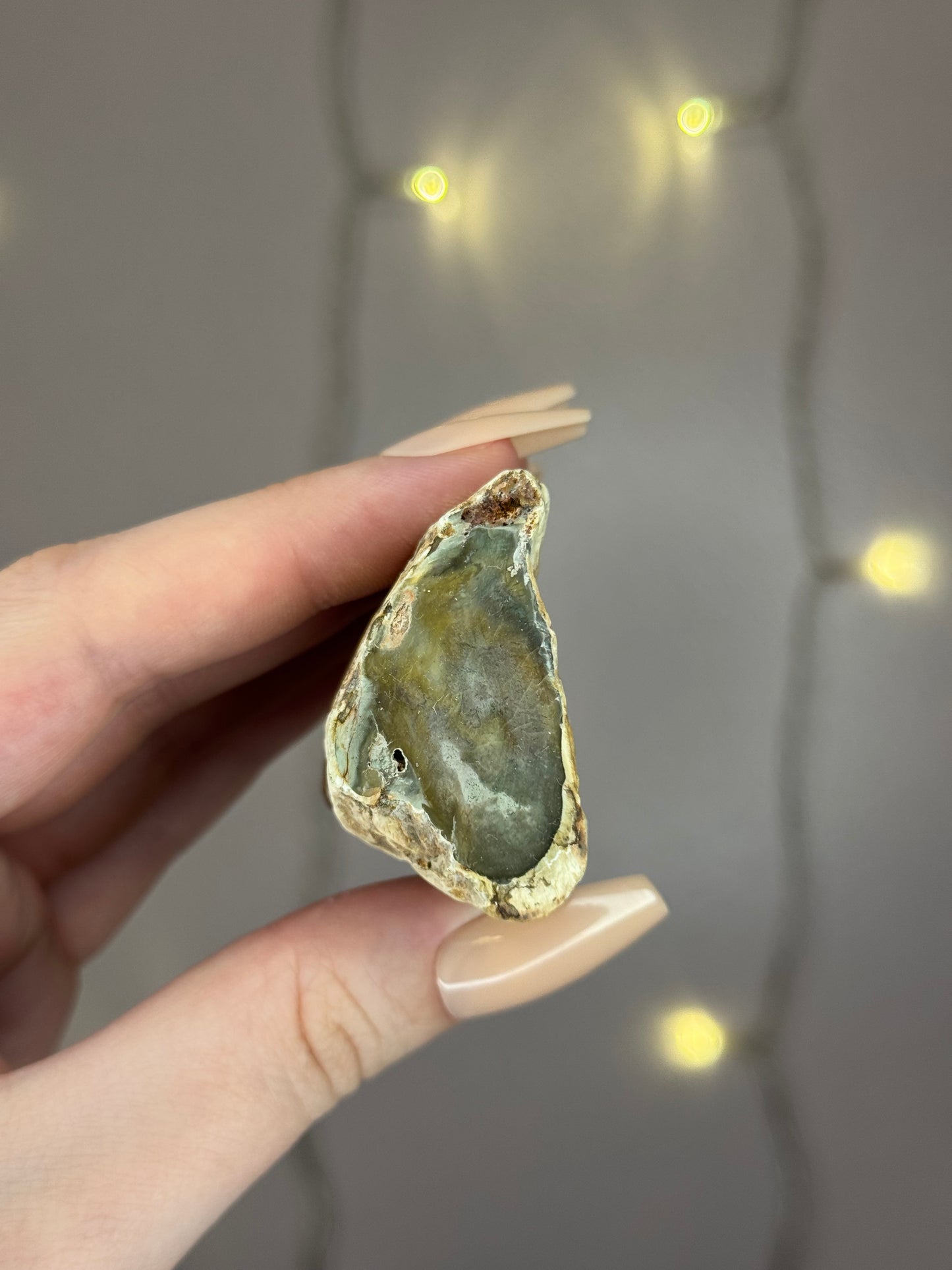 Green Petrified Wood D (dark green)