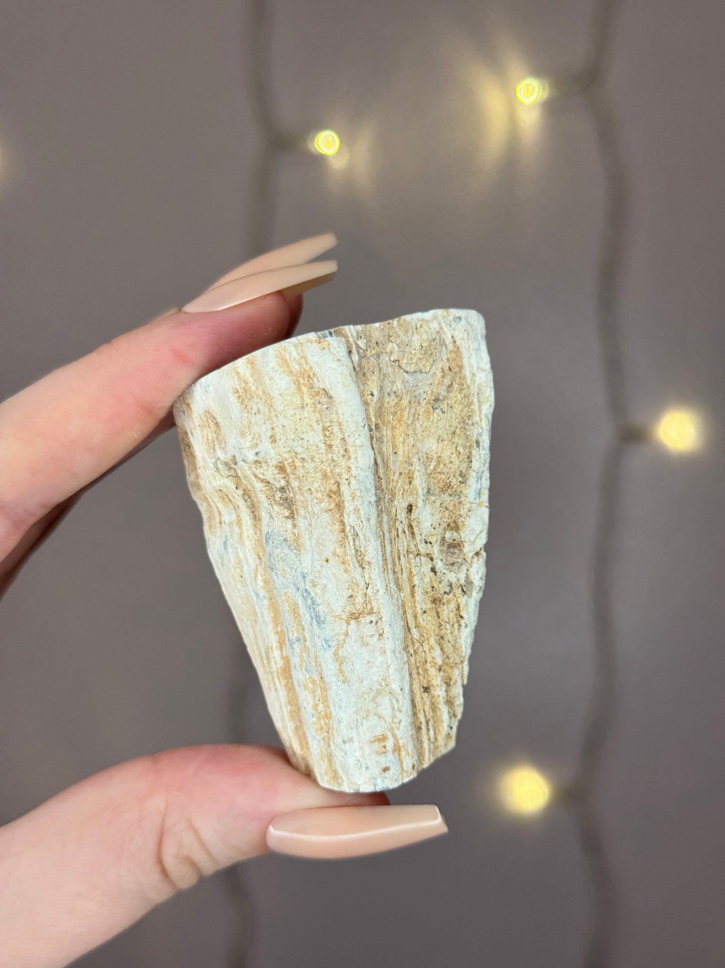 Green Petrified Wood A (dark green)