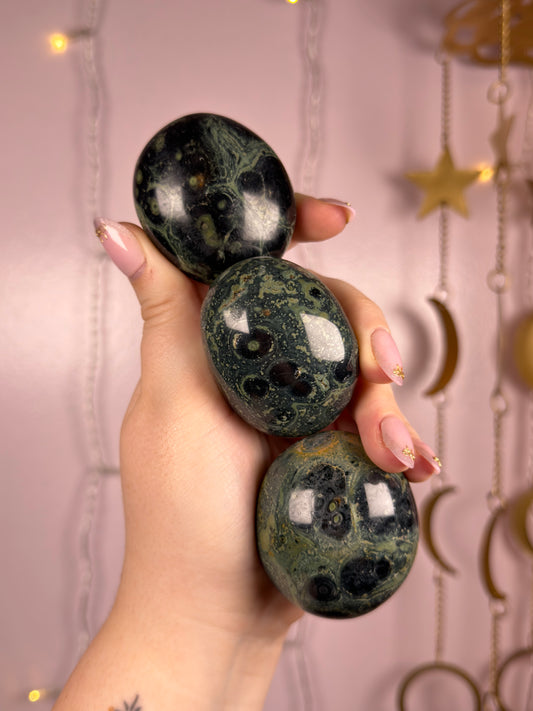 Mystery Kambaba Jasper Palmstone