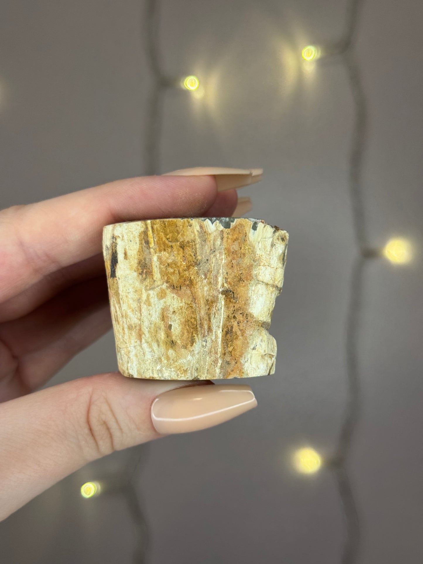 Green Petrified Wood D (dark green)