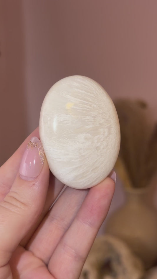 Mystery Scolocite Palmstone